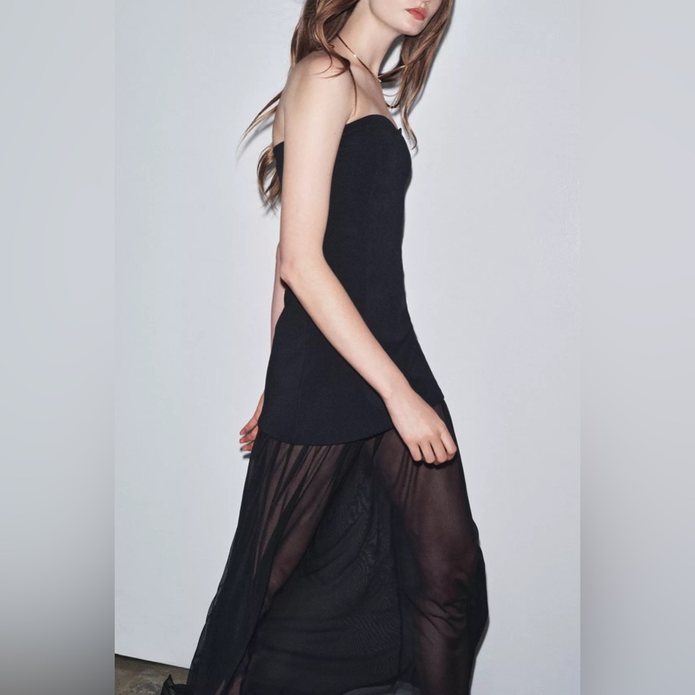 Zara NWT Black Mesh Sheer Combination Strapless Dress (Size Small) - Picture 3 of 5